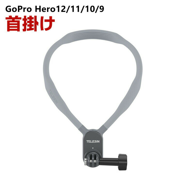 GoPro HERO12/11/10/9 Black Ins