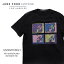 󥯥ա 󥰡JUNK FOOD CLOTHING12MXMTV0023 MTV WONDERLAND METEORITE TEE Ⱦµ T åȥ  ץ  ǥ BLACK  ᥫڥͥݥȯ