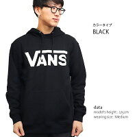 バンズ【VANS】フードパーカープルオーバーフーディHOODメンズトップスプレゼントVN000J8NBLACK/GREY/EVERGREEN【あす楽】