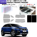プジョー 3008 (P845G01/P84AH01/P845G06) ルミクールSD サンルーフ用 カット済みカーフィルム UVカット スモーク