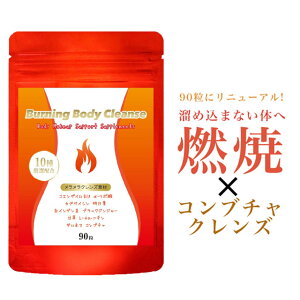 ダイエット サプリ Burning Body Cleanse 90粒/30日分 ダイエット サプリメント 美容 燃焼系 コンブチャ サプリメント 燃焼 クレンズ サプリ 酵素サプリ 明日葉 甘草 コエンザイムQ10 αリポ酸 Lカルニチン 脂肪