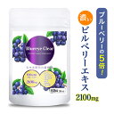 小林製薬の栄養補助食品 ブルーベリー ルテイン メグスリノ木 60粒（約30日分）/