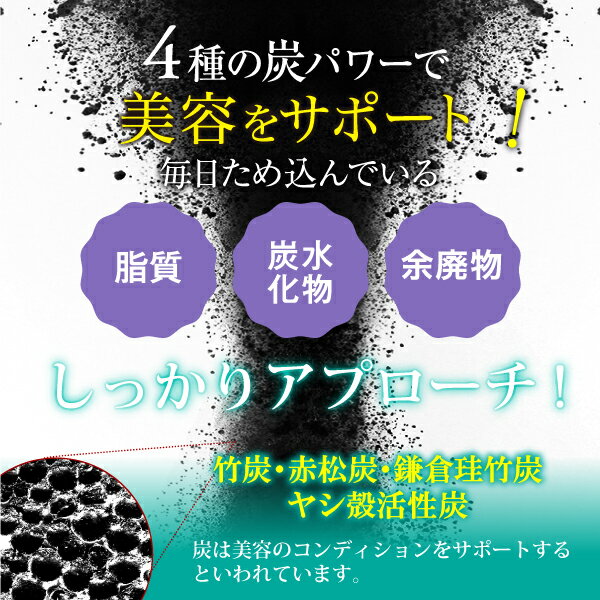 竹炭 サプリ コンブチャ 美活 サプリ 竹炭とコンブチャの黒生クレンズ 炭 チャコール 乳酸菌 食物繊維 難消化性デキストリン ブラックジンジャー 炭サポート 菌活 黒生姜 赤松炭 キレイ ヤシ殻活性炭末 黒酢 ポリフェノール 美容 サプリメント 30日分 60粒 日本製 送料無料 3