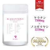  Υ䥷 ץ 7500mg Υ䥷2250mg  Ʀեܥ 顼 Lꥸ ꥳԥ 󥶥Q10  祦 ץ Υ䥷ץ  Black Up Energy For Ladies 90γ ̵  RESESTA