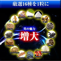 《送料無料》男性用サプリGrowzUpBIGシトルリン・アルギニン・トンカットアリ・マカ90粒※精力剤や薬ではなくサプリメントです