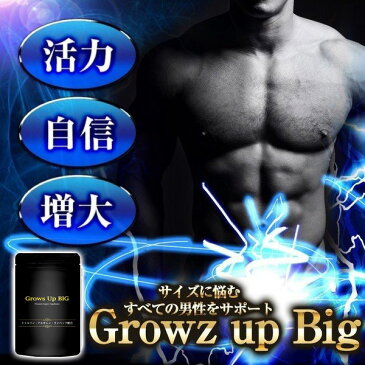 【送料無料】Growz Up BIG 60粒※精力剤や薬ではなくサプリメント シトルリン サプリメント サプリ 健康サプリ 健康サプリメント 男性 メンズ サプリ 健康食品 栄養機能食品アルギニン クラチャイダム マカ シトルリン スッポン すっぽん にんにく