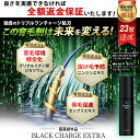 育毛剤 BLACK CHARGE EXTRA 薬用 発毛促進 抜け毛 男性用育毛剤 センブリエキス 育毛トニック 養毛剤 育毛ローション ヘアトニック ヘアケア スカルプ ふけ かゆみ 抜け毛予防 頭皮ケア 養毛 薄毛対策 産後 送料無料 REQST DIO［医薬部外品］ 2