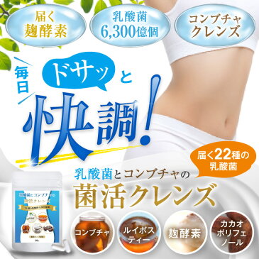 乳酸菌 サプリ Lガゼイ菌 菌活 腸活 サプリメント コンブチャ ルイボスティー 6300億個の乳酸菌 配合 乳酸菌とコンブチャの菌活クレンズ 30日分 60カプセル