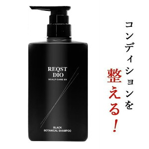 ヘアケア スカルプ シャンプー BLACK BOTANICAL SHAMPOO 普通肌 オイリー肌 ハリ コシ アップ ふけ かゆみ 予防 ボタニカル ノンシリコン 薬用 スカルプ 頭皮ケア メンズ レディース 薬用シャンプー 大容量400ml 送料無料 [医薬部外品]