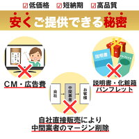 美白化粧水次世代型ビタミンC高濃度エチルアスコルビン酸美白くすみ日焼けRESESTAWHITEPUREAQUA医薬部外品100mg