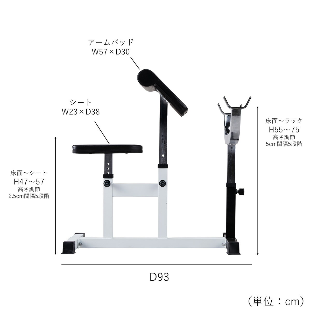 【10％OFFセール】BODYDESIGN（ボディデザイン）カールベンチ/上腕 アームカール プリチャーカール ウエイトトレーニング 筋トレ トレーニング器具 3