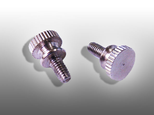 タトゥーマシーン用　バインディング スクリュー シルバー　【TATTOO / tattoo / タトゥー / 入れ墨 / 入墨 / 刺青 / トライバル / タトゥーマシン / タトゥーキット / タトゥー用品 / タトゥーセット / タトゥーニードル / タトゥー針】