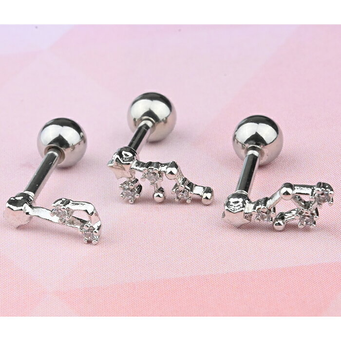 ボディピアス 16g 耳たぶ ピアス 軟骨ピアス 星座 軟骨 おしゃれ 耳用 軟骨用 トラガス ヘリックス 十二星座 セカンドピアス 医療用ステンレス 医療用 サージカルステンレス 金属アレルギー対応