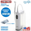 ハナオートDX NK7030 電動鼻洗浄器 デラックスタイプ