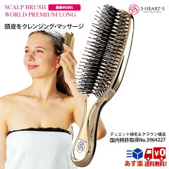 https://thumbnail.image.rakuten.co.jp/@0_mall/bodyandsoul/cabinet/arrows/scalpbrush/long-r-main02.jpg