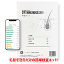 毛髪ミネラル検査 29元素 (WEB方式)NEW らべるびぃ予防医学研究所 毛髪検査キット 毛髪 髪の毛 ミネラル 検査 毛髪を送るだけ WEBで登録確認 簡単...