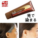 【クーポンで500円OFF!5/16AM1:59まで】サンカラーマックス ダークブラウン 白髪染め クリーム 75g 光で染まる簡単 レディース 女性用 感光性...