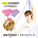 【CATERPY】エクササイズバンド 人気 ゴムバンド 実用的 プレゼント 簡単 筋膜リリース ヨガ エクササイズ エクササイズバンド 家トレ 宅トレ ストレッ...