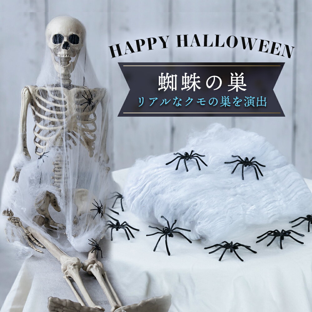 ハロウィン 飾り 蜘蛛の巣 小物 変装 衣装 飾り物 飾り付け クモ 蜘蛛 ハロウィン 雑貨 インテリア ホラー お化け屋敷 ハロウィン用品 コスチューム リアル ハロウィーン パーティー 仮装 装飾 飾り あす楽 ハロウィンパーティ グッズ