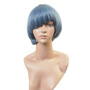 セーラーマーキュリー風ウィッグ フルウィッグ アニメ 耐熱 wig ショート コスプレ w154 衣装 セーラーマーキュリー風ウィッグ フルウィッグ アニメ 耐熱 wig ショート コスプレ w154 衣装