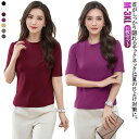 半袖tシャツ カットソー 5分袖 tシャツ 無地 プチハイネック レディース 五分袖 2枚組 春 夏 半袖 プルオーバー 秋 カットソー Tシャツ tシャツ イ...