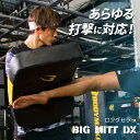ビッグミットDX BODYMAKER ボディメーカー キックミット ミット 厚さ10cm 空手 格闘技 キックボクシング テコンドー サンドバッグ ジム トレーニング パンチ ハイキック 武道 筋トレ フィットネス ダイエット エクササイズ