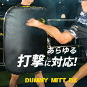 ダミーミットDX BODYMAKER ボディメーカー 格闘技 ジム 空手 トレーニング 総合格闘技 MMA パンチ ハイキック 武道 フルコンタクト空手 コンビネーション ローキック 大型ミット
