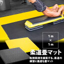1m×1m柔道畳マット 4cm厚【BODYMAKER ボディ...