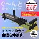 ストレッチマシン シンボーンストレッチャー BODYMAKER ボディメーカー ボーンストレッチャー 骨盤矯正 ストレッチ 身長 矯正 背筋矯正 エクササイズ 姿勢矯正 背骨 骨格 トレーニングマシン 歪み 脚長 O脚矯正 X脚矯正【プレゼント付き】