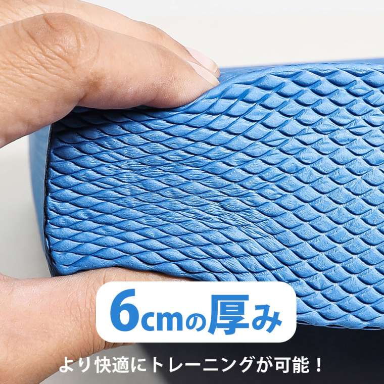 ボディメーカーのバランスマットDX BODYMAKER ボディメーカー FY016 バランス マット フィットネス 体幹 ストレッチ ヨガ｜アングル2