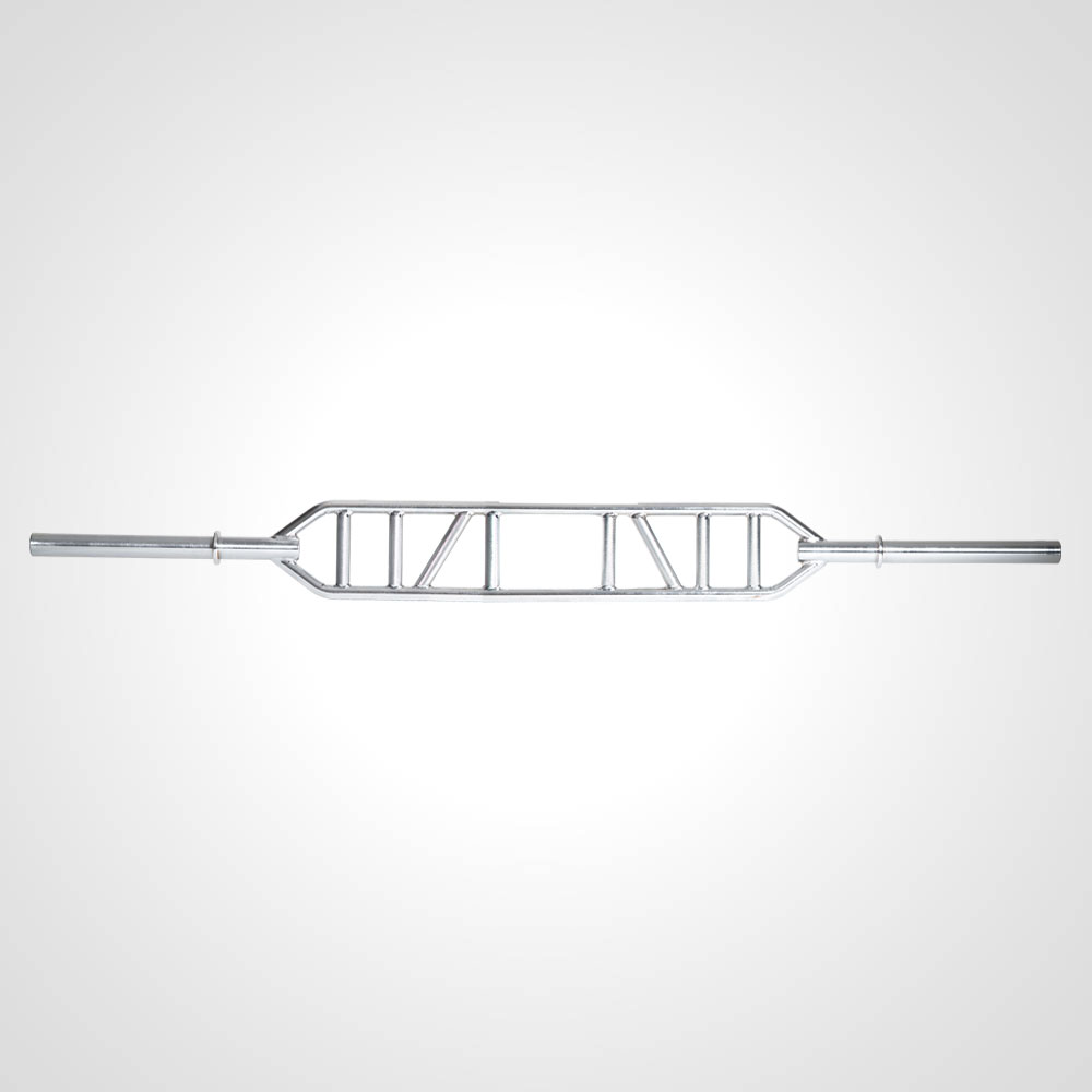 【期間限定ポイント5倍】スイスバー BODYMAKER ボディメーカー フックボールバー マルチグリップ グリップバー シャフト マルチグリップバー