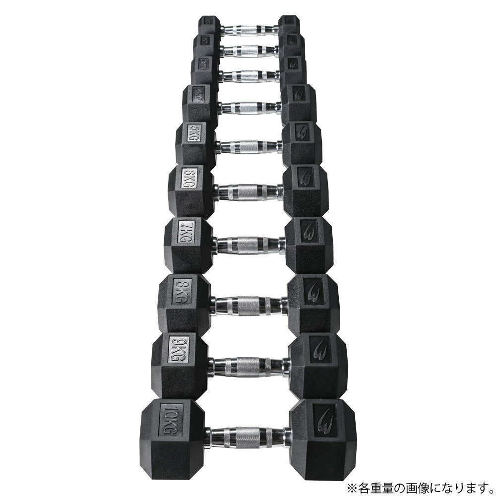 六角ダンベル3KG 2個セット BODYMAKER ボディメーカー PD009300ST 六角 ダンベル 3KG 3kg 3キロ ケトルベル トレーニングジム 筋トレ 筋肉 筋力 胸筋 ダンベルフライ 3