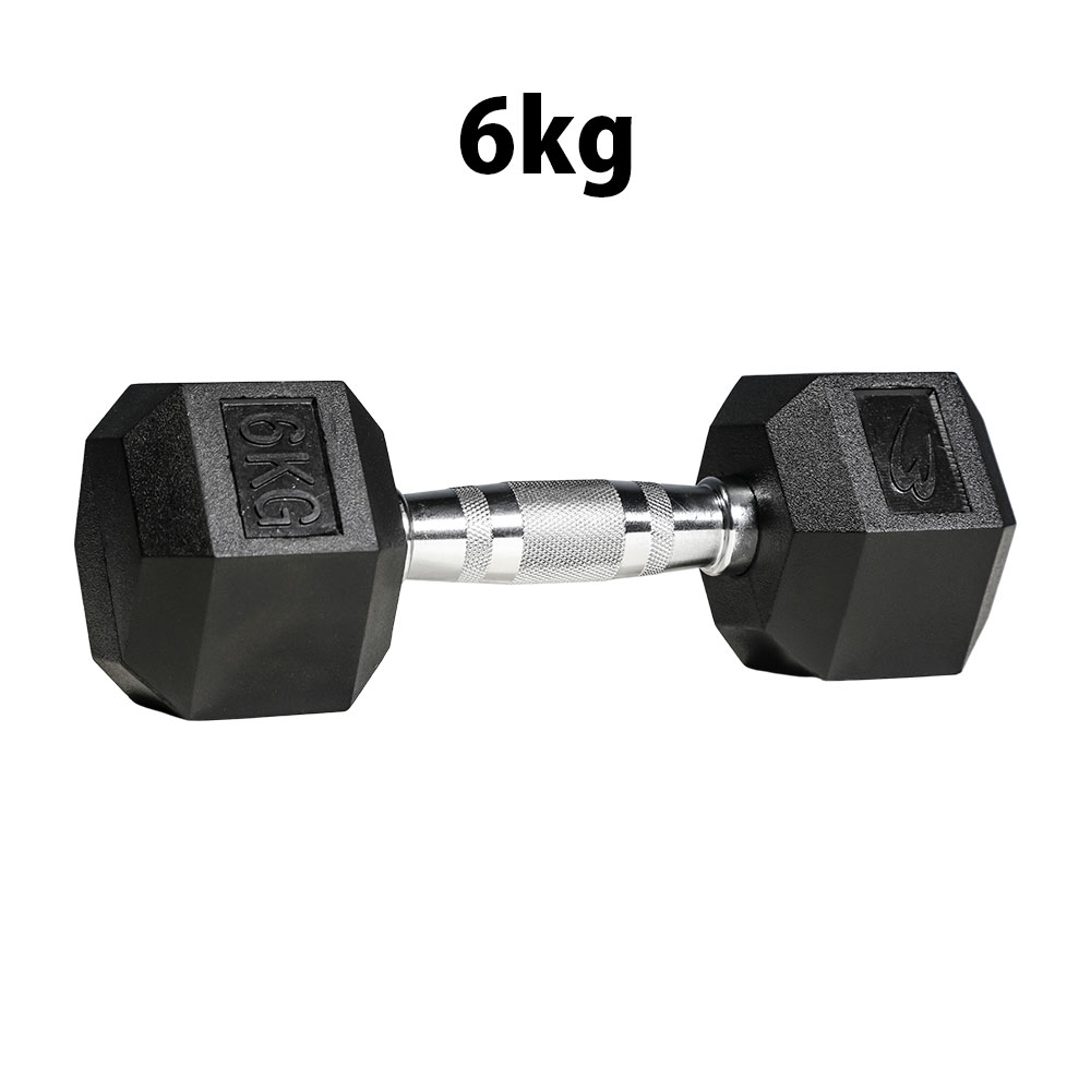 六角ダンベル 6KG BODYMAKER ボディメーカー PD009600 六角 ダンベル 6kg 6キロ ケトルベル トレーニン..
