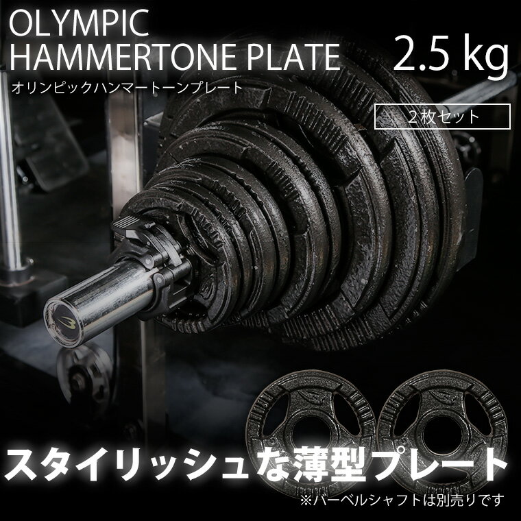 オリンピックハンマートーンプレート 2.5kg 2個セット BODYMAKER ボディメーカー ...