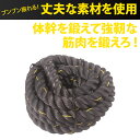 bmtwトレーニングロープ 9m 直径38mm BODYMAKER ボ...(4)