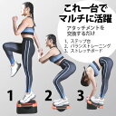 マルチステップ台 BODYMAKER ボディメーカー ステップ台 踏み台昇降 エクササイズ トレーニ ...