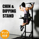チン&ディッピングスタンド トレーニングマットセット BODYMAKER ボディメーカー 腕 背筋 懸垂 ディップス 背中 トレーニングマシン 背筋トレーニング...
