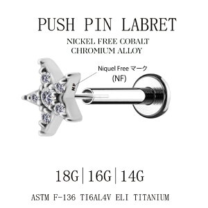 挿すだけ装着プッシュピン18G16G14Gスター星ノンニッケルプレミアムジルコニアチタンピアス金属アレルギー対応ラブレットスタッズボディピアス