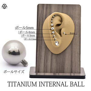 アレルギーフリー16G用14G用※パーツのみ※ハイグレードチタンピアスキャッチボディピアス【BodyWell】