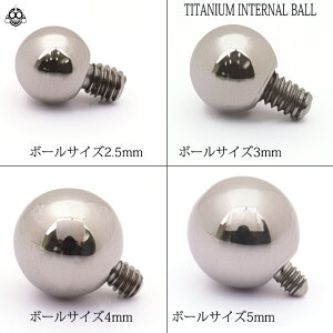アレルギーフリー16G用14G用※パーツのみ※ハイグレードチタンピアスキャッチボディピアス【BodyWell】