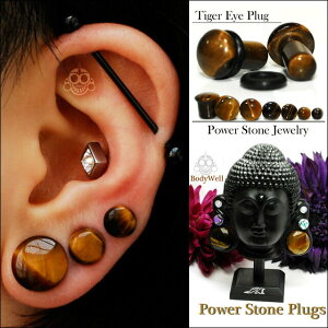 ★早い者勝ち★0G00G12mm13mm14mmタイガーアイシングルフレア天然石ピアスパワーストーンボディピアス【BodyWell】