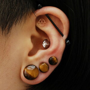 ★早い者勝ち★0G00G12mm13mm14mmタイガーアイシングルフレア天然石ピアスパワーストーンボディピアス【BodyWell】