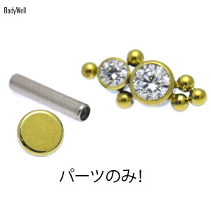 14G用12G用※パーツのみ※3サイズフラットディスクSOLID-TIハイグレードチタンインターナルネジ専用ピアスパーツボディピアス【BodyWell】