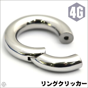 4Gコレなら簡単カチッと装着セグメントリングピアスクリッカーリングピアスボディピアス【BodyWell】