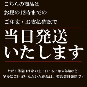 【スーパーセール♪ 今だけお買い得】スズキ 3D ラゲッジマット ブラック スズキ エブリィ ワゴン DA17W 汚れ防止 ペット 釣り スノボ スキー そり クーラーボックス ウインタースポーツ マリンスポーツ ドッグラン オールシーズン 15分