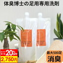 【SSだけ2割引!!】足の臭い 足の臭い消し DSフットルース 大容量500ml×2本セット スプレー 消臭 除菌 抗菌 におい 臭い 匂い 子供 アンモニア 上履き 靴 靴下 靴用 スニーカー 消臭洗剤 洗剤 洗濯洗剤 無香料 つけおき 部屋干し 汗臭 汗じみ わき汗 体臭 消臭剤 加齢臭