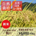 【新米】【無肥料 自然栽培米】【農薬不使用】【玄米】【30年...