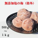 農家が作る特大サイズ無添加梅干し(格外)500g~1kg 無添加 南高梅 国産 和歌山県産 梅干し 食べ物 送料無料 グルメ 簡易パッケージ 500g 訳あり 1kg