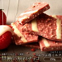 ぼくの玉手箱屋 割れチョコ チョコレート チョコ 訳あり スイーツ 本格クーベルチュール使用 割れチョコ つぶつぶ苺ミルク 250g 割れチョコレート チョコ 訳ありレート チョコ 業務用 製菓材料 板チョコ お菓子 子供 お取り寄せグルメ【冷蔵便】