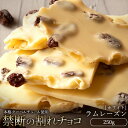 ぼくの玉手箱屋 割れチョコ 【今季限り数量限定】 チョコレート チョコ 訳あり スイーツ 本格クーベルチュール使用 割れチョコ ラムレーズン 250g 割れチョコレート チョコ 訳ありレート チョコ 業務用 製菓材料 板チョコ お菓子 子供 お取り寄せグルメ【冷蔵便】